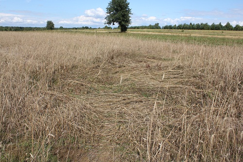 UFO już nie robi wrażenia - Zdjęcie główne