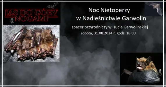 ''Las do góry nogami'' - noc nietoperzy w Nadleśnictwie Garwolin - Zdjęcie główne