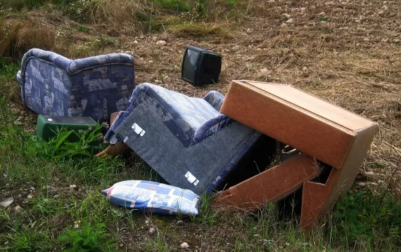 Chcesz się pozbyć starej kanapy? Tego dnia wystaw ją przed dom - Zdjęcie główne