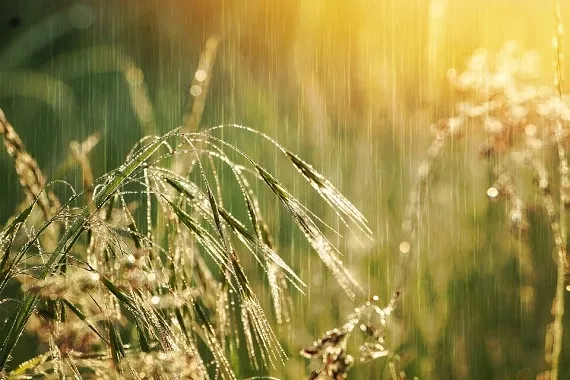 Prognoza pogody na tydzień (22.07 - 28.07.2024 r.) - Zdjęcie główne