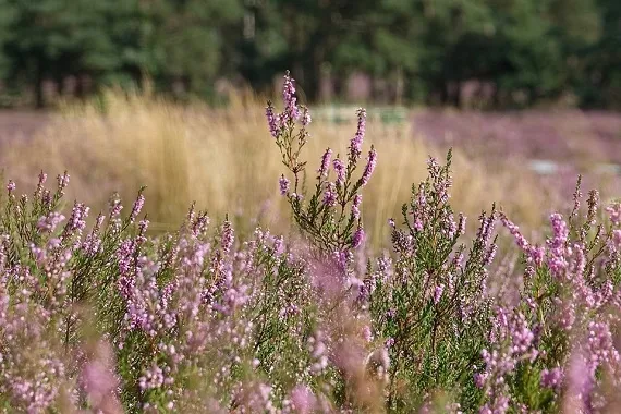 Prognoza pogody na tydzień (23 - 29.09.2024 r.) - Zdjęcie główne