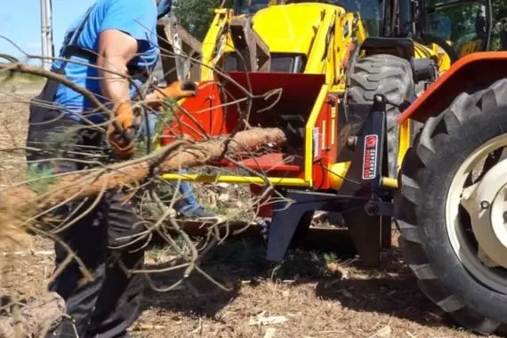 Tragiczny wypadek przy cięciu drewna. Nie żyje mężczyzna - Zdjęcie główne