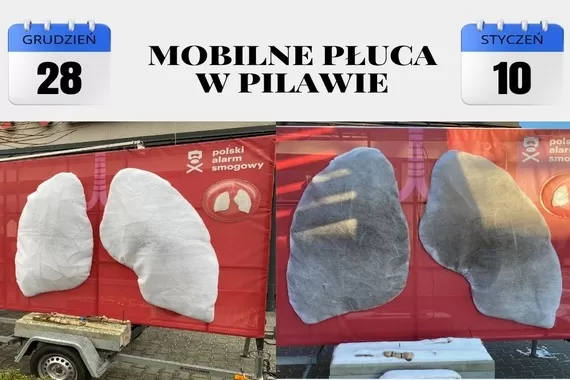 Jak się sprawdziły mobilne płuca? - Zdjęcie główne