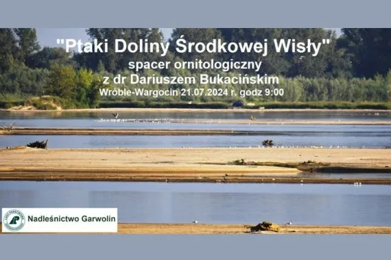 ''Ptaki Doliny Środkowej Wisły'' - spacer ornitologiczny - Zdjęcie główne