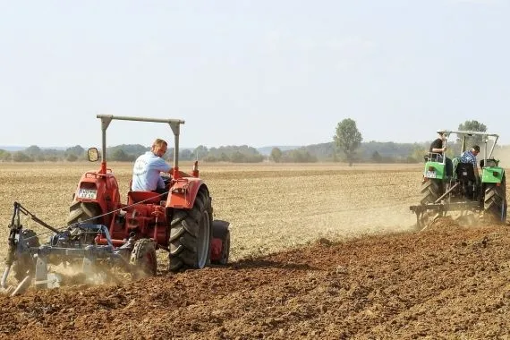 Siejemy więcej zbóż. Rolnictwo w województwie mazowieckim  - Zdjęcie główne