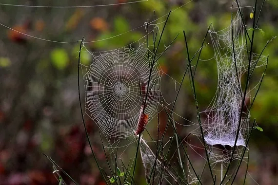 Prognoza pogody na tydzień (30.09 - 06.10.2024 r.) - Zdjęcie główne