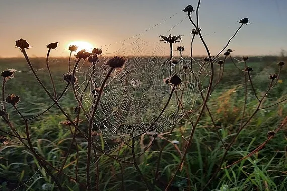 Prognoza pogody na weekend(19 - 20.10.2024 r.) - Zdjęcie główne