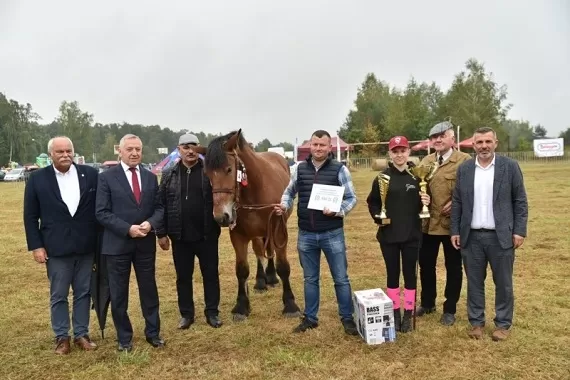 Święto Hodowców Koni w Górkach: 11. Edycja - (sobota) - Zdjęcie główne