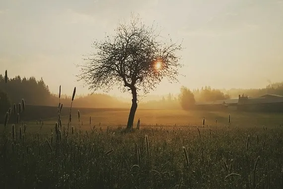 Wspaniała pogoda w weekend (26 - 27.10.2024 r.) - Zdjęcie główne