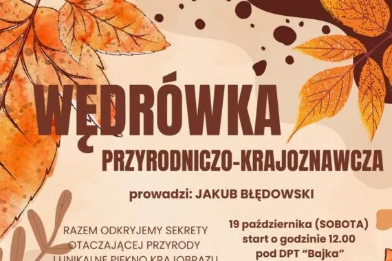 Wędrówka po Królewskim Lesie - Zdjęcie główne