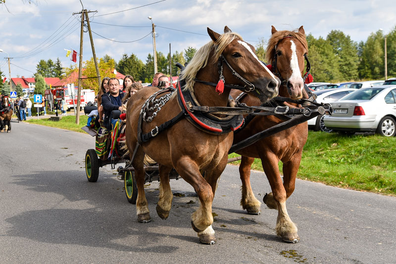 parada-zaprzegow