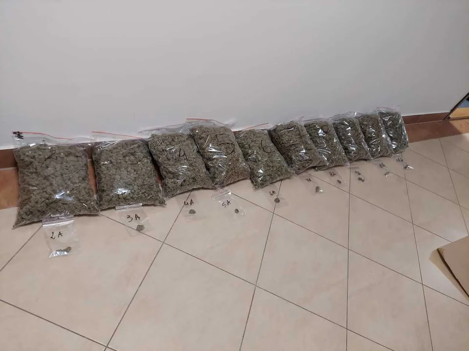 Policja zatrzymała dilerów