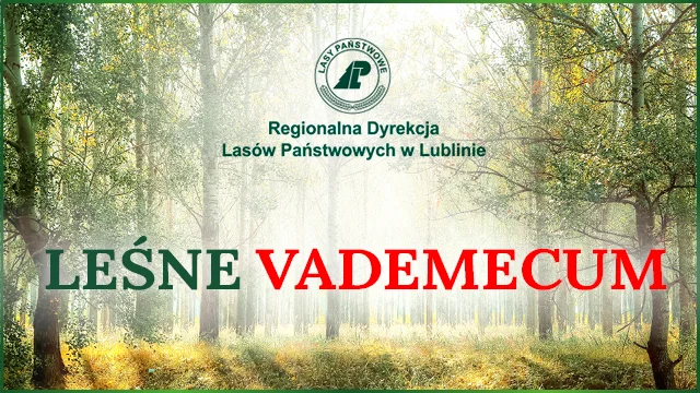 Leśne Vademecum - lasy Lubelszczyzny - Zdjęcie główne