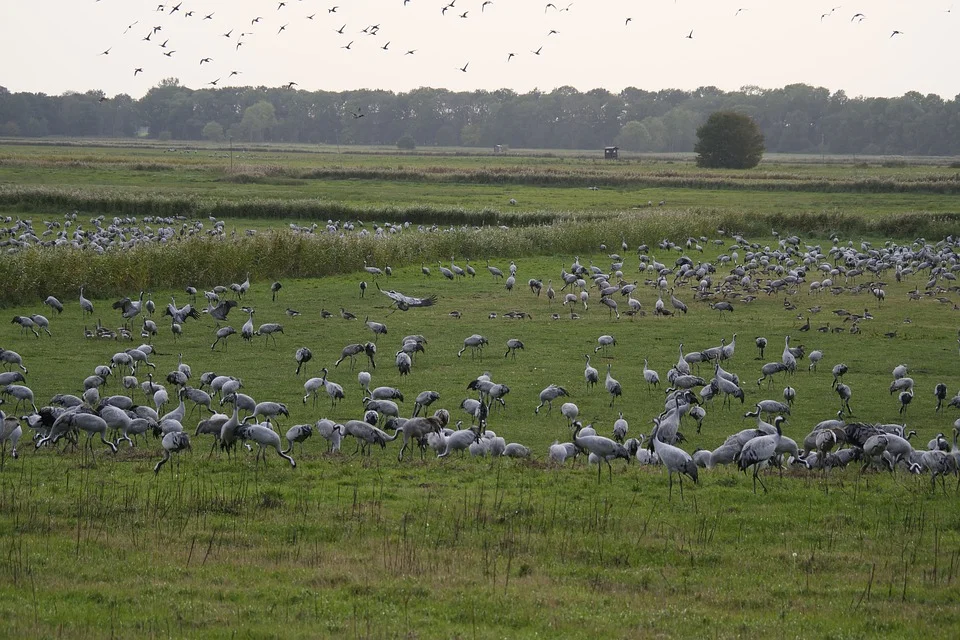 Lubelskie: Prognoza pogody na weekend 24-25.09.2022r. - Zdjęcie główne