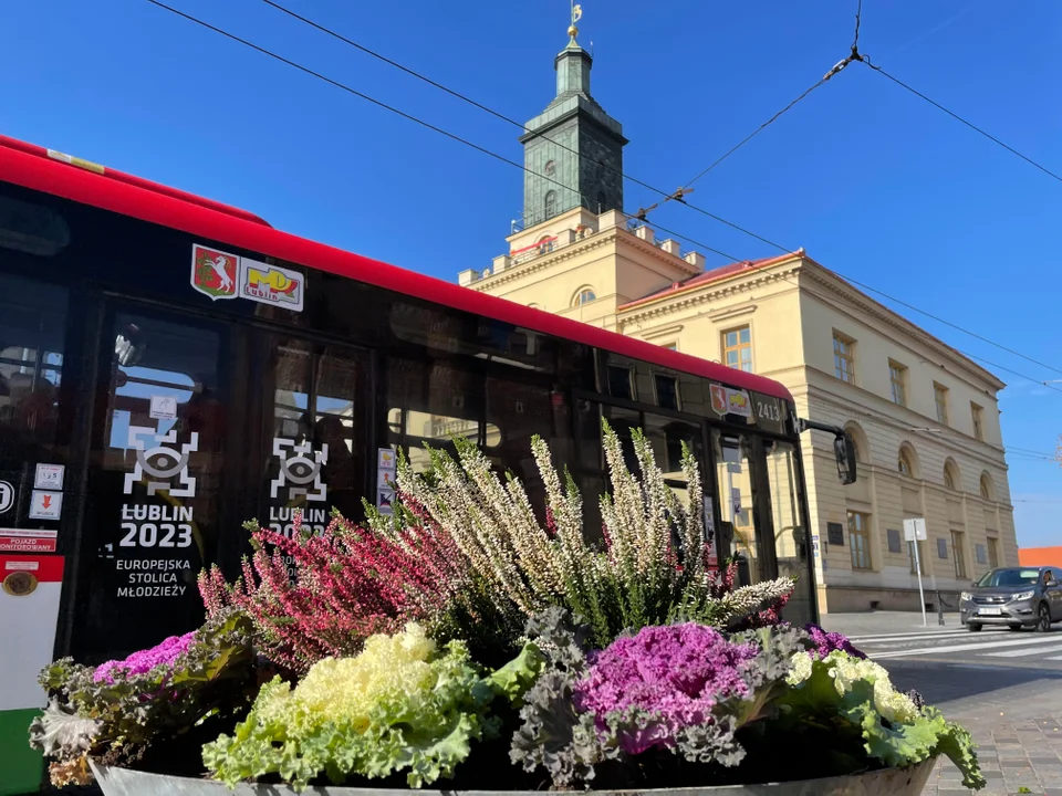 Lublin: Trwa jesienna wymiana kwiatów w centrum - Zdjęcie główne
