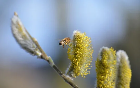 Siedlce:  Weekend zapowiada się mokro. Prognoza na (15 - 16.04.2023r) - Zdjęcie główne