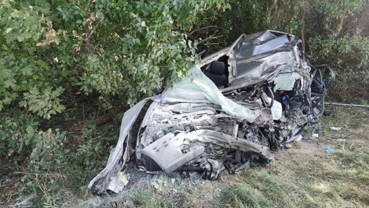 Lubelskie. Śmiertelny wypadek na DK-12 - Zdjęcie główne