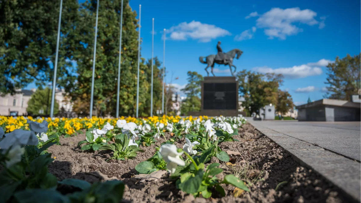 Lublin: Kapusta i wrzosy zajmą miejsce letnich kwiatów - Zdjęcie główne