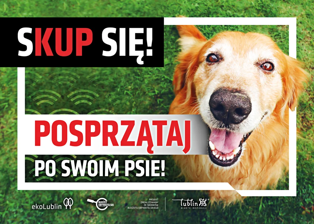 Lublin: Tabliczki i banery przypomną o sprzątaniu po psach - Zdjęcie główne
