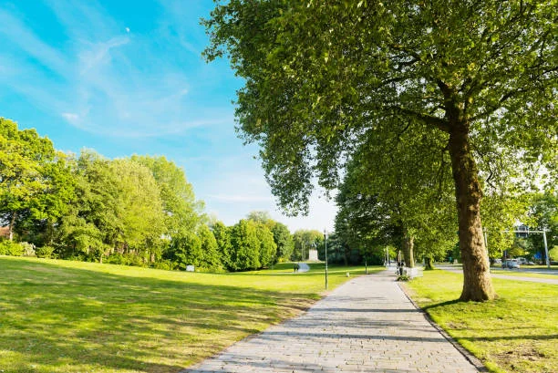 Lublin: Miasto będzie mieć więcej zielonych terenów? Ma w tym pomóc projekt zamiany działek - Zdjęcie główne