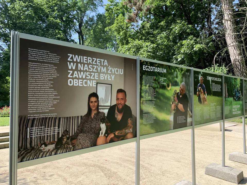 Lublin: Wystawą zachęcają do adopcji zwierząt - Zdjęcie główne