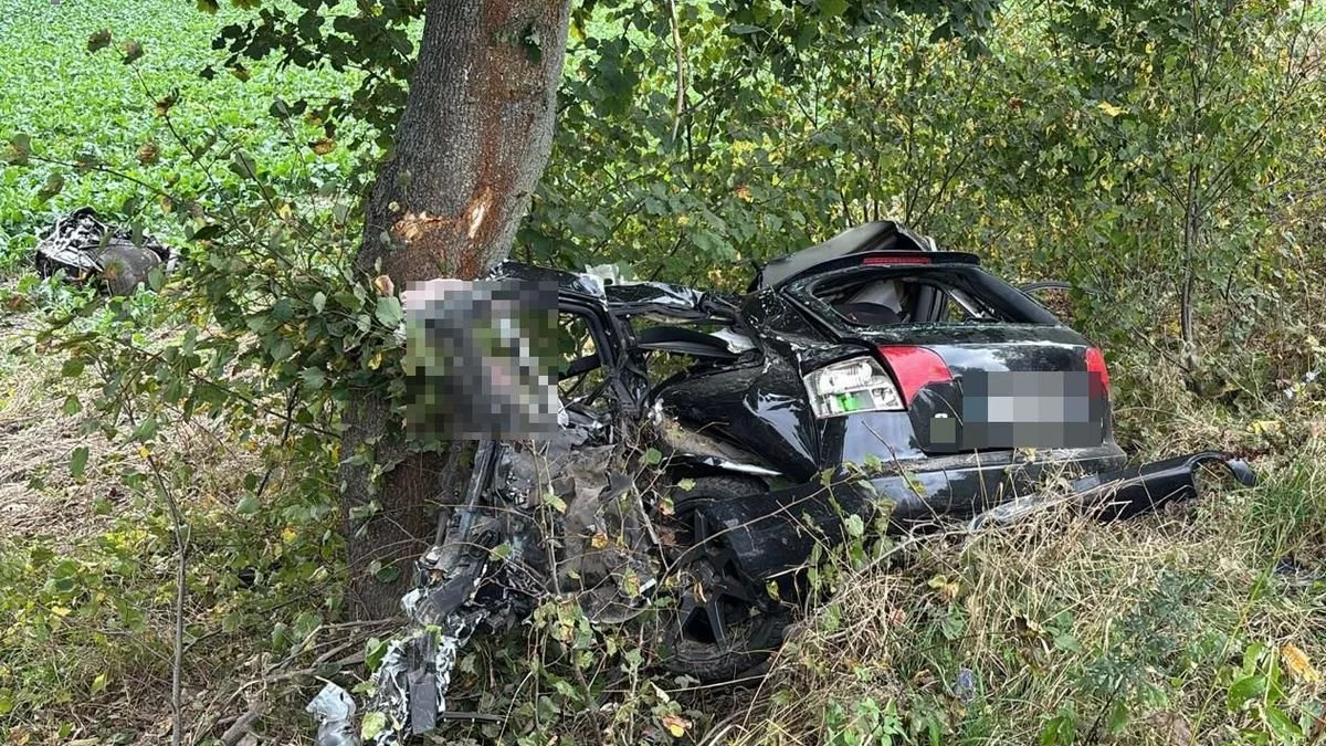 Tragiczny wypadek w gminie Tarnawatka. Siła uderzenia była tak duża, że pojazd został rozerwany na dwie części - Zdjęcie główne