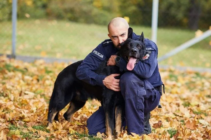 Województwo lubelskie: Policyjny pies pomógł zatrzymać włamywacza - Zdjęcie główne