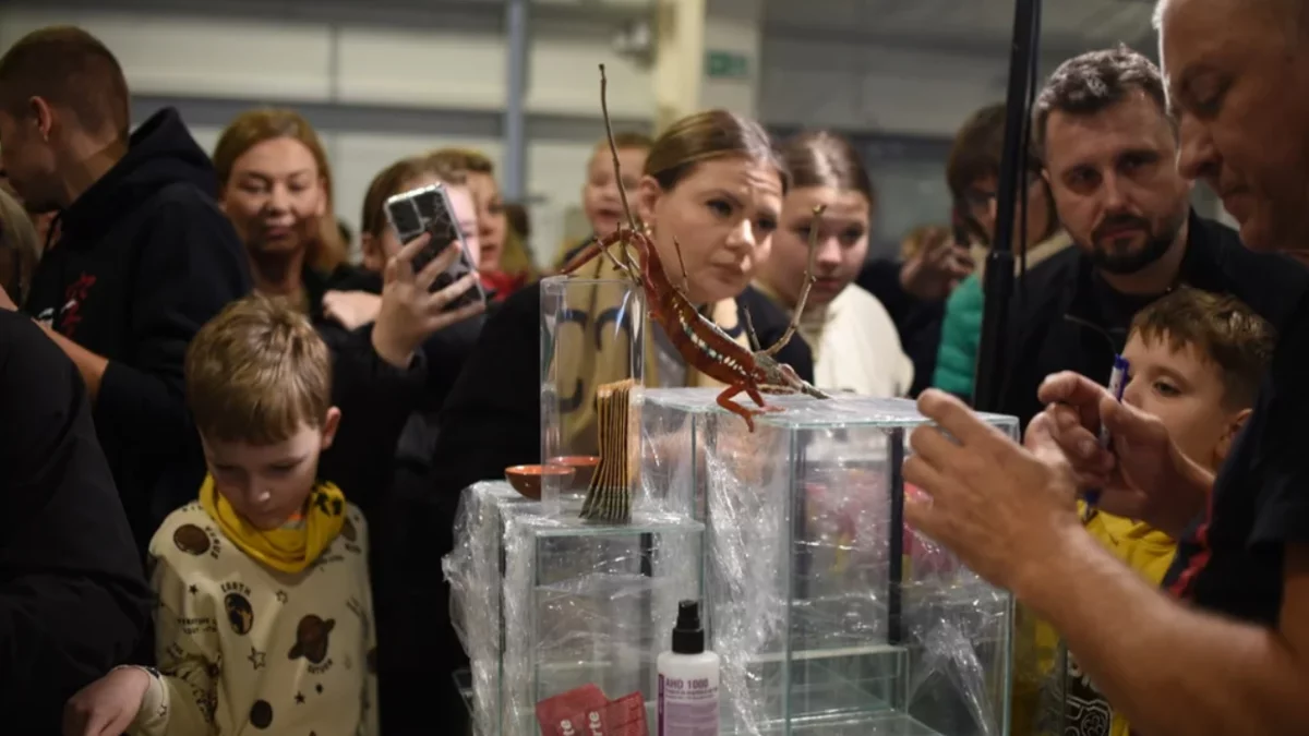 Egzotyczne zwierzęta w Targach Lublin. Gekony, pająki i węże - Zdjęcie główne