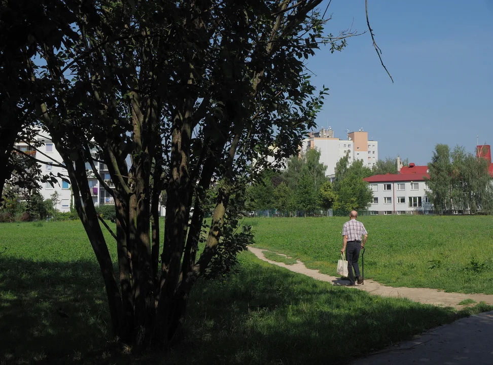 Lublin: Szykują się kolejne prace w Parku Centralnym na Felinie - Zdjęcie główne