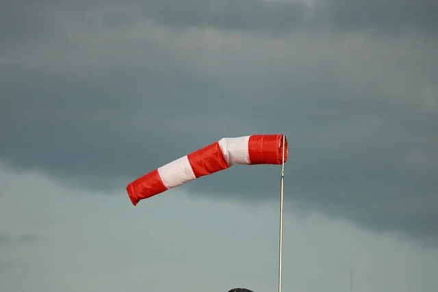 Silny wiatr nad województwem lubelskim. IMGW wydał ostrzeżenia - Zdjęcie główne