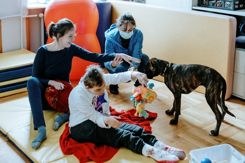 Lublin: Zwierzęta pomagają dzieciom i seniorom. W ramach terapii  - Zdjęcie główne
