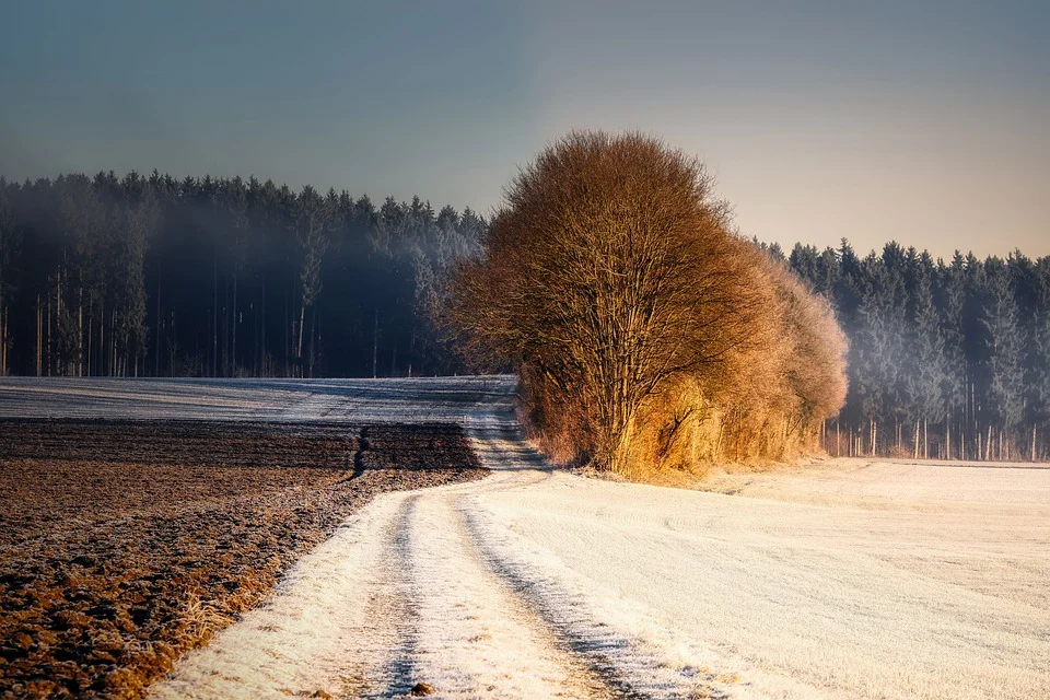 Siedlce: Jesienno - zimowa przeplatanka. Prognoza pogody na tydzień (28.11 - 04.12.2022r) - Zdjęcie główne