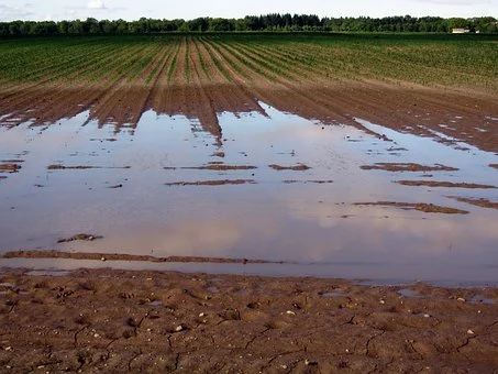 Lubelskie. Śnieg topnieje, do tego opady deszczu.  Poziom wód  w rzekach przekracza stany ostrzegawcze. Zobacz w których - Zdjęcie główne