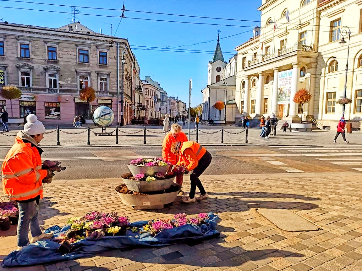 Lublin: Miasto nabiera jesiennych barw. Trwa wymiana kwiatów - Zdjęcie główne