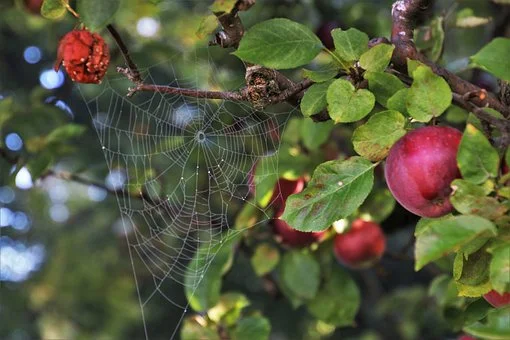 Najpierw bardzo ciepło, później bardzo zimno. Prognoza pogody na tydzień 17 - 23.10.2022r. - Zdjęcie główne