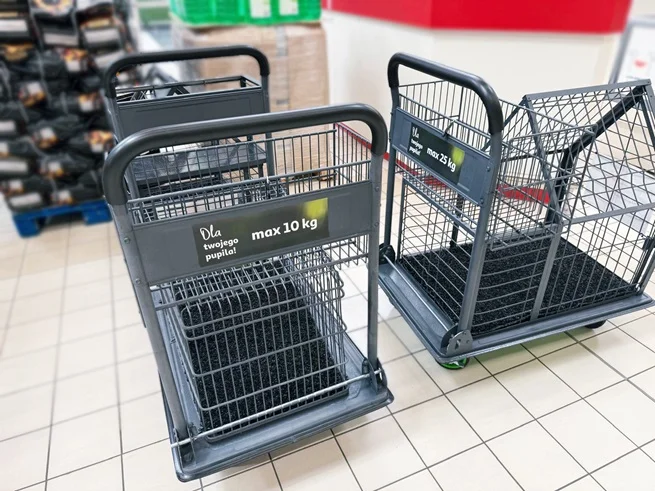 Ten supermarket wprowadza wózki dla psów. Zrobisz zakupy ze swoim pupilem - Zdjęcie główne