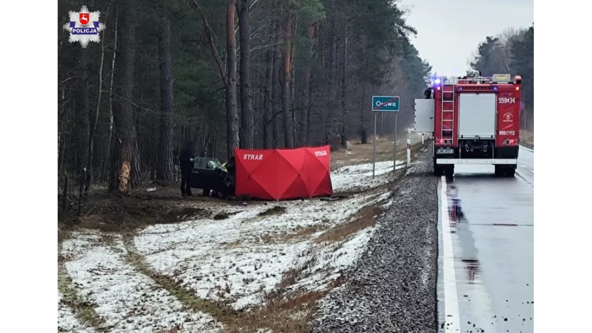 Województwo lubelskie: tragiczny wypadek, kierowca zginął, pasażer ranny - Zdjęcie główne