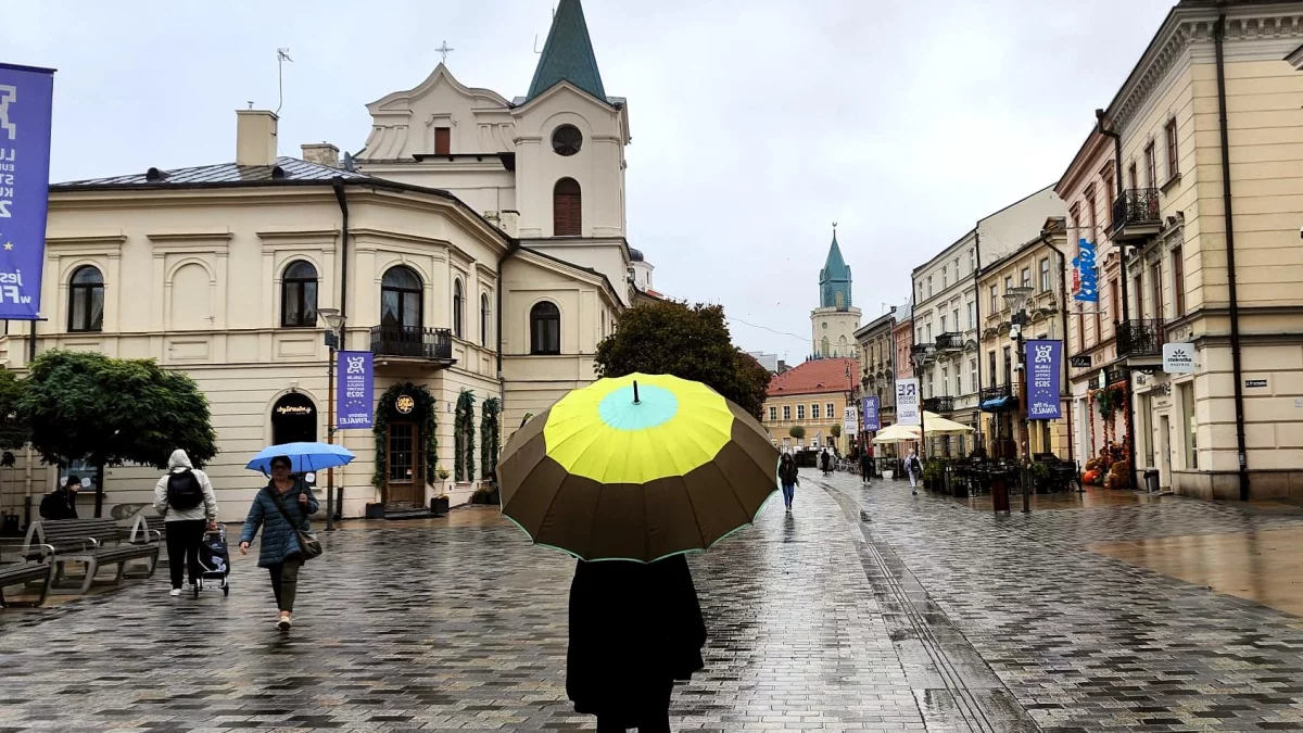 Lublin: Pieniądze na "łapanie deszczu". Wystartował nabór do miejskiego programu - Zdjęcie główne