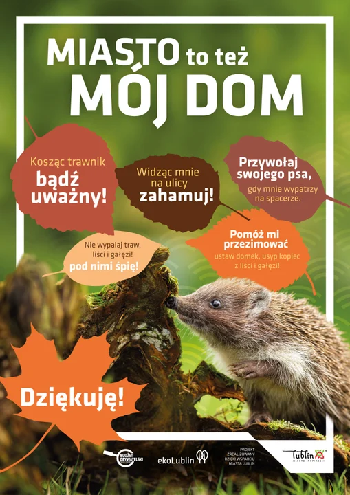 Lublin: Miasto ogłosiło konkurs „Jeż przyjazny zwierz!”. Do wygrania domki dla tych zwierząt - Zdjęcie główne