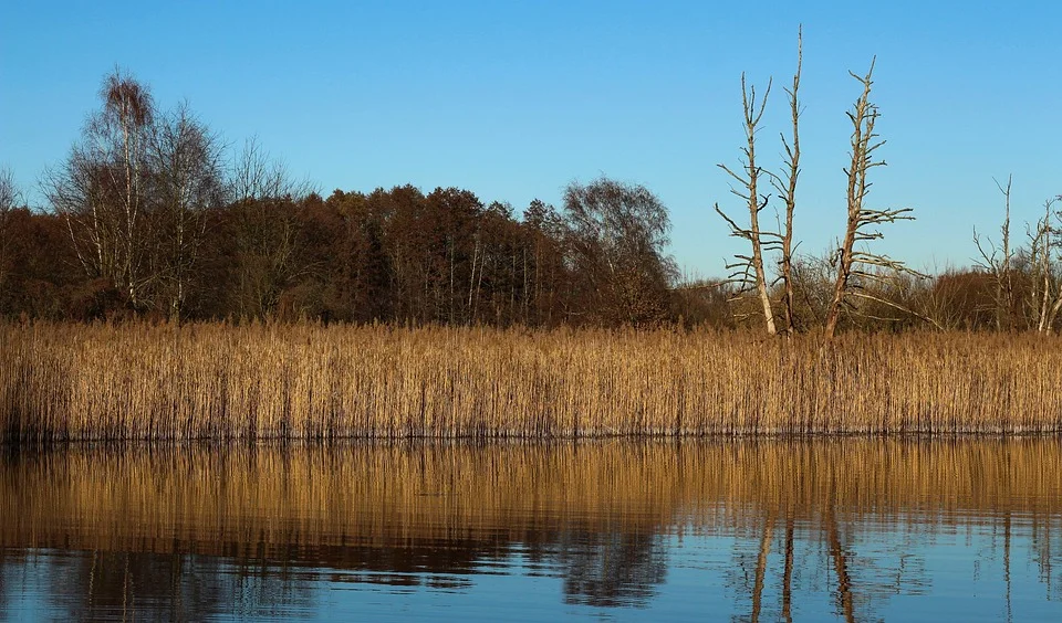 Lubelskie: Prognoza pogody na weekend (03.02 - 04.02.2024 r.) - Zdjęcie główne