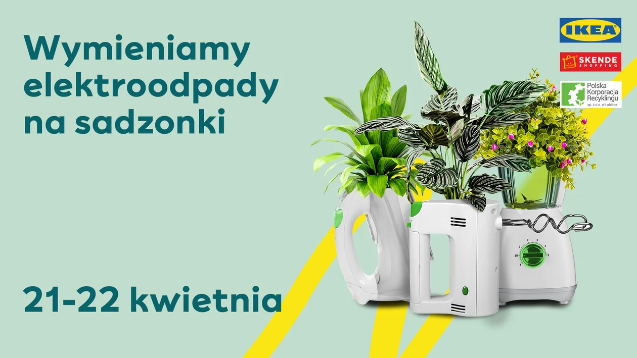 Lublin: Sadzonki roślin w zamian za elektroośmieci. W tym tygodniu zbiórka - Zdjęcie główne