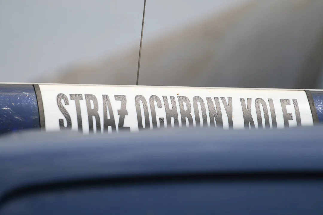 Lublin: SOK-iści odnaleźli zaginioną seniorkę. Pomogła im kamera termowizyjna - Zdjęcie główne