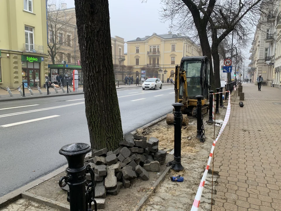 Lublin: W centrum będzie bardziej zielono. Miasto sadzi nowe krzewy - Zdjęcie główne