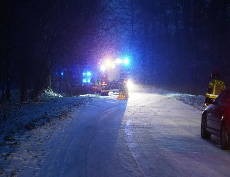 Województwo lubelskie: Samochód wpadł w poślizg i wylądował w rowie - Zdjęcie główne