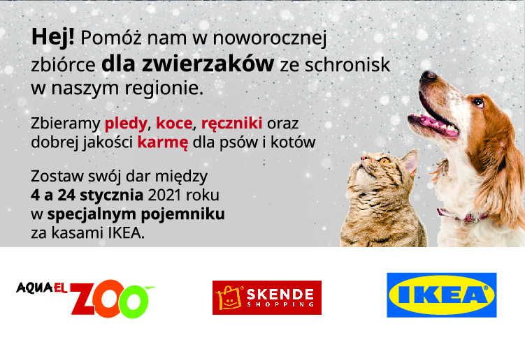 Zbiórka darów dla schronisk bezdomnych zwierząt w województwie lubelskim - Zdjęcie główne