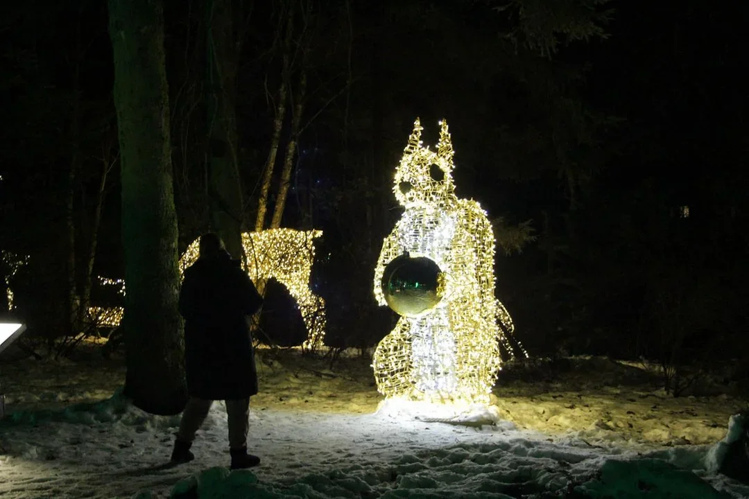 Lublin: Park iluminacji powoli kończy sezon. Ostatnia szansa na zwiedzanie w Walentynki - Zdjęcie główne