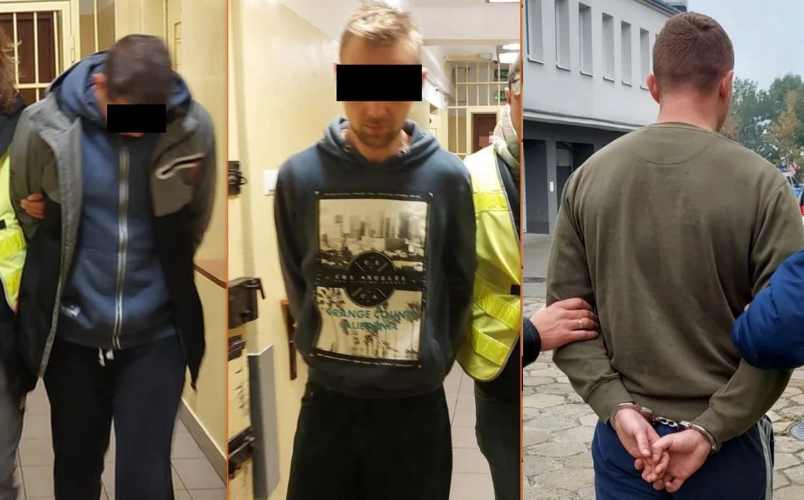Województwo lubelskie: Policja znalazła 26 kg marihuany w altance działkowej. Trzy osoby trafiły do aresztu - Zdjęcie główne