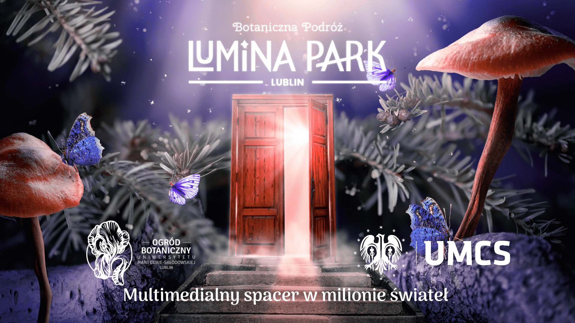 Lublin: W Ogrodzie Botanicznym będą światła, dźwięk i efekty multimedialne wśród roślin. To Park Iluminacji - Zdjęcie główne