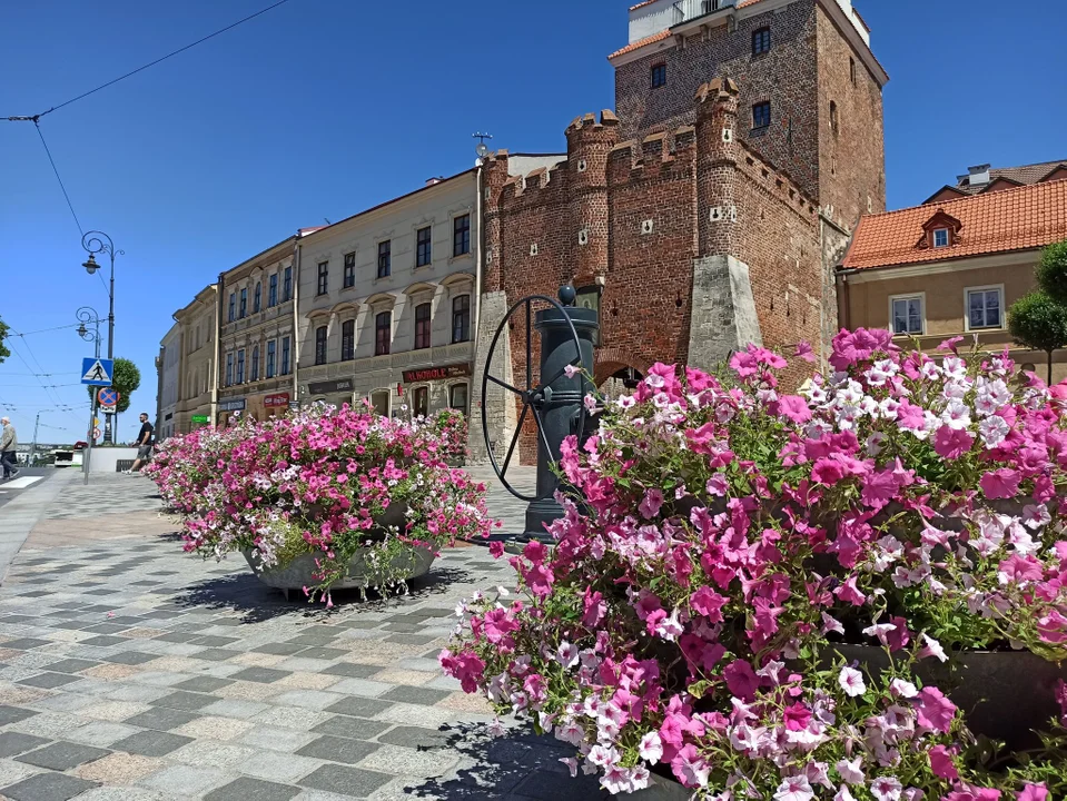 Lublin: Miasto szykuje się na wiosnę. Zakwitną kwiaty i pojawią się łąki - Zdjęcie główne