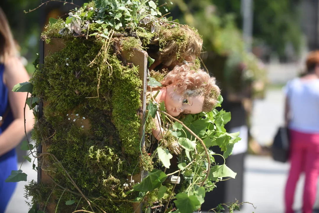 Trwa Weekend z Florystyką. Niezwykłe instalacje w centrum miasta [WIDEO] - Zdjęcie główne